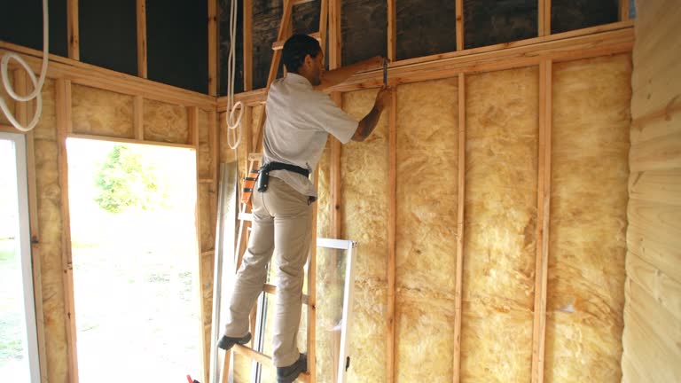 Eco-Friendly or Green Insulation Solutions in Wheeling, IL